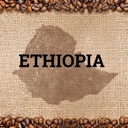 DECAF -  ETHIOPIA SIDAMO